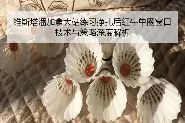 wei-si-ta-pan-jia-na-da-zhan-lian-xi-zheng-zha-hou-hong-niu-dan-quan-chuang-kou-ji-shu-yu-ce-lve-shen-du-jie-xi-2-930.jpg