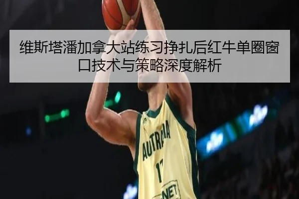 维斯塔潘加拿大站练习挣扎后红牛单圈窗口技术与策略深度解析